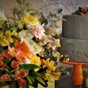 Festa Volta ao Mundo Festa Volta ao Mundo